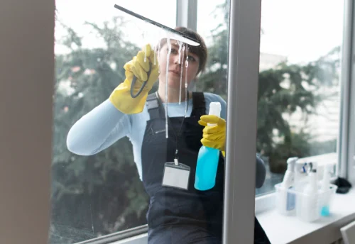Nettoyage de vitres intérieures et extérieures à Mesnil-Raoul